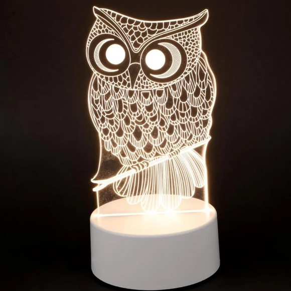 Other - Acrylic night light lamp owl LED sign